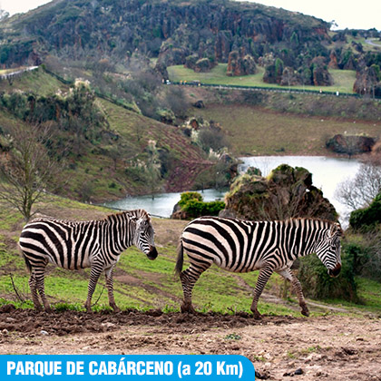 Parque de la Naturaleza de Cabárceno (a 20 Km del camping)